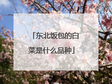 东北饭包的白菜是什么品种