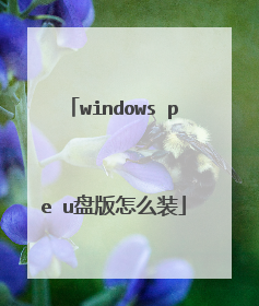windows pe u�̰���ôװ