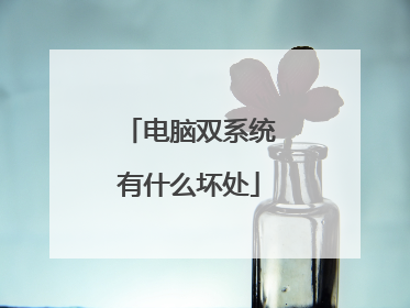 ����˫ϵͳ��ʲô����