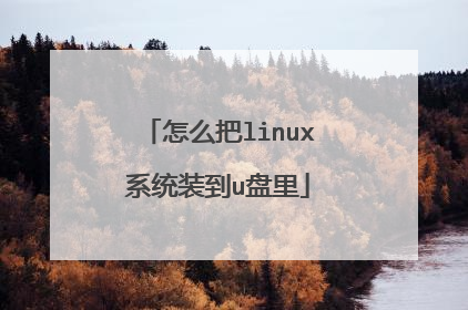 ��ô��linuxϵͳװ��u����