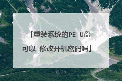 ��װϵͳ��PE U�̿��� �޸Ŀ���������