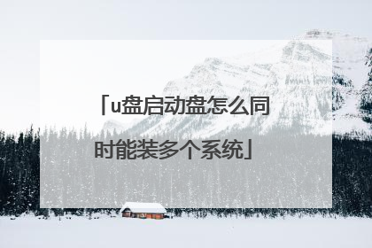 u����������ôͬʱ��װ���ϵͳ