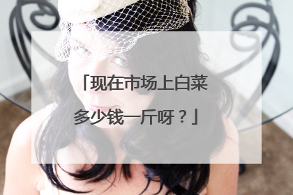 现在市场上白菜多少钱一斤呀?