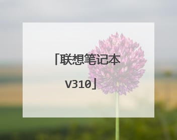 ����ʼǱ�V310