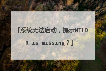 ϵͳ�޷���������ʾNTLDR is missing��