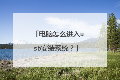 ������ô����usb��װϵͳ��