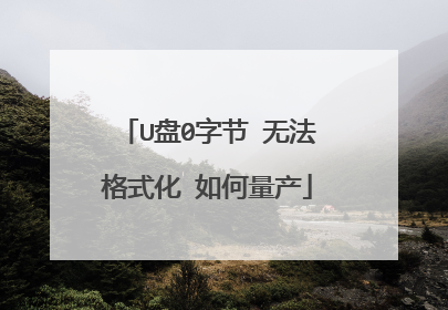 U��0�ֽ� �޷���ʽ�� �������