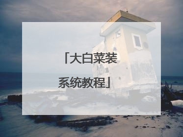 大白菜装系统教程