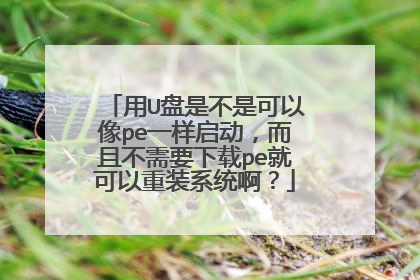 ��U���ǲ��ǿ�����peһ�����������Ҳ���Ҫ����pe�Ϳ�����װϵͳ����