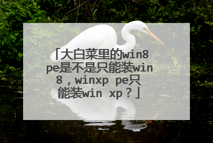 大白菜里的win8 pe是不是只能装win8,winxp pe只能装win xp?