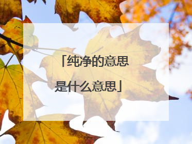 ��������˼��ʲô��˼