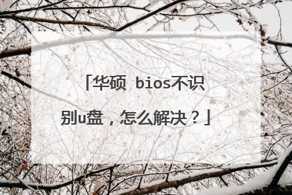 ��˶ bios��ʶ��u�̣���ô�����