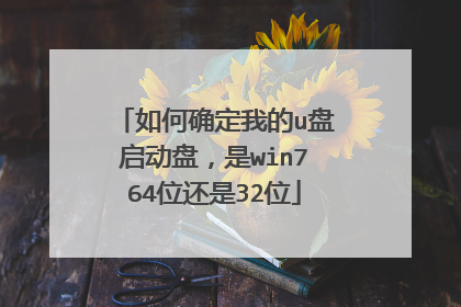 如何确定我的u盘启动盘,是win764位还是32位