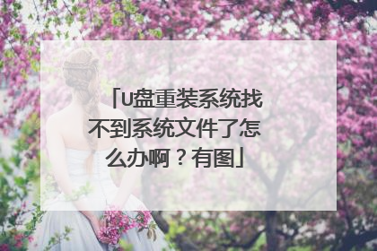 U����װϵͳ�Ҳ���ϵͳ�ļ�����ô�찡����ͼ