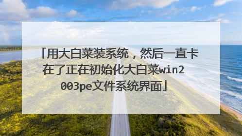 �ô�ײ�װϵͳ��Ȼ��һֱ���������ڳ�ʼ����ײ�win2003pe�ļ�ϵͳ����