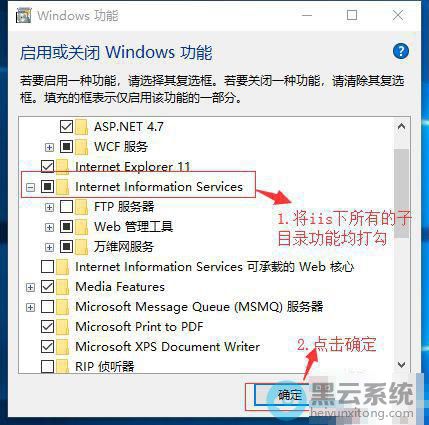 ��ѡInternet information server