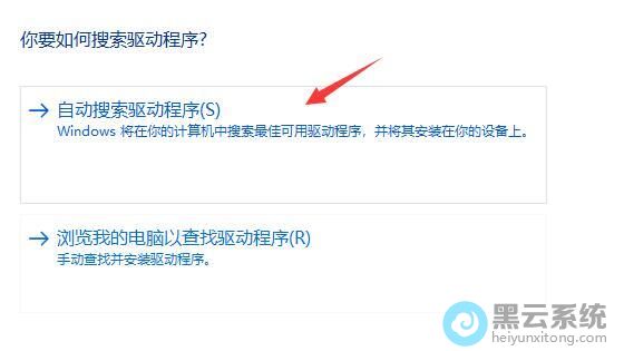 ѡ���Զ�������������