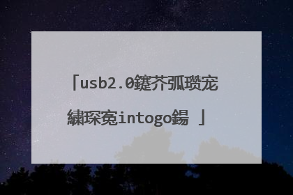 usb2.0鑳芥弧瓒宠繍琛寃intogo鍚?