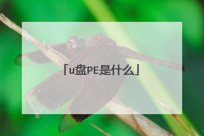 u��PE��ʲô