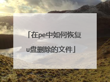 ��pe����λָ�u��ɾ�����ļ�