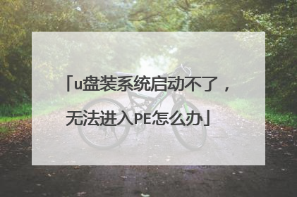u盘装系统启动不了,无法进入PE怎么办