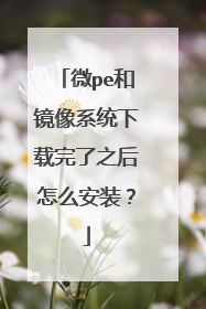 ΢pe�;���ϵͳ��������֮����ô��װ��