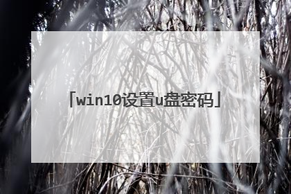 win10����u������