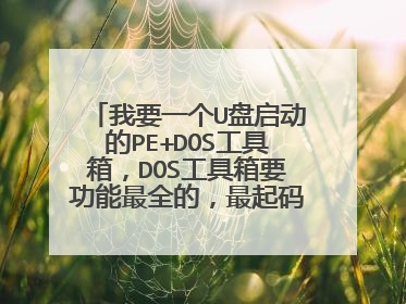 ��Ҫһ��U��������PE+DOS�����䣬DOS������Ҫ������ȫ�ģ���������ִ�� fdisk /mbr��