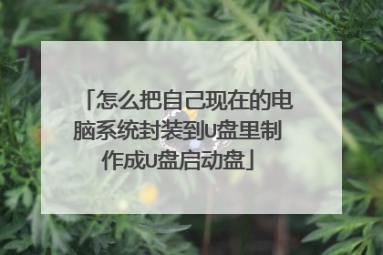 ��ô���Լ����ڵĵ���ϵͳ��װ��U����������U��������