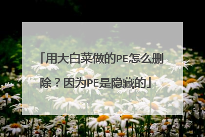 �ô�ײ�����PE��ôɾ������ΪPE�����ص�