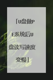 U����PEϵͳ��U�̶�д�ٶȱ���