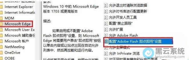 ��������adobe flash���㼴������