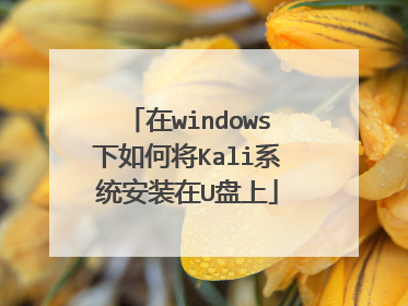 ��windows����ν�Kaliϵͳ��װ��U����