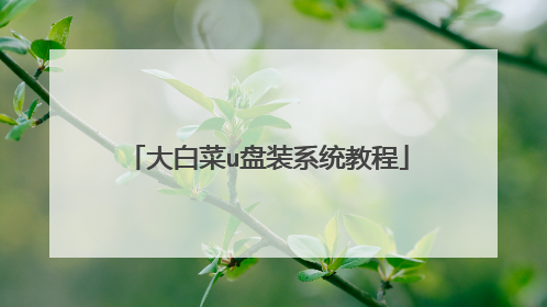 大白菜u盘装系统教程