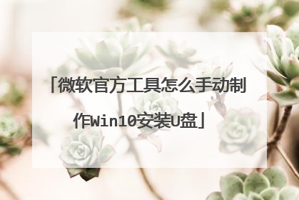 ΢���ٷ�������ô�ֶ�����Win10��װU��