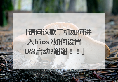 ��������ֻ���ν���bios?�������U������?лл����