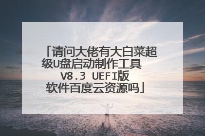 ���ʴ����д�ײ˳���U�������������� V8.3 UEFI�������ٶ�����Դ��