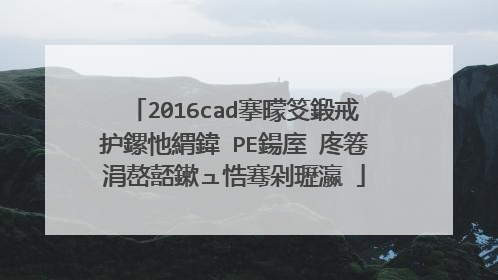 2016cad底下命令栏输�?PE后�?�么不出来合并等�?