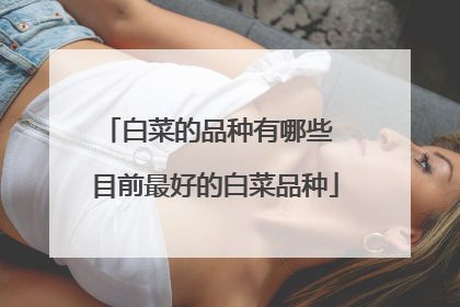 �ײ˵�Ʒ������Щ Ŀǰ��õİײ�Ʒ��