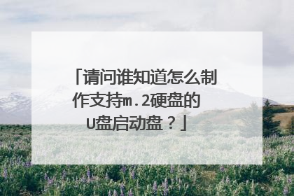 请问谁知道怎么制作支持m.2硬盘的U盘启动盘?
