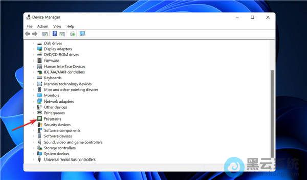 ˫��������