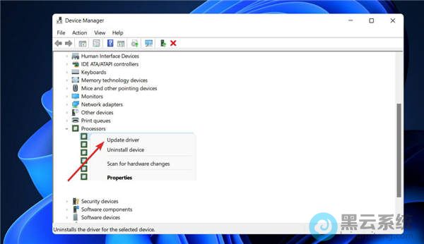 ѡ�������������