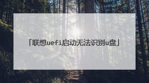 ����uefi�����޷�ʶ��u��