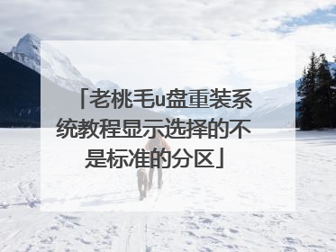 ����ëu����װϵͳ�̳���ʾѡ��Ĳ��Ǳ�׼�ķ���