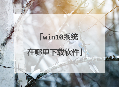 win10ϵͳ��������������