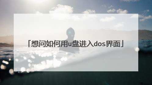 ���������u�̽���dos����