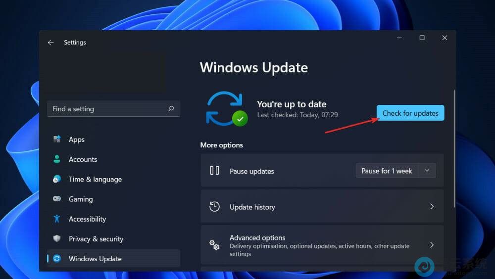���������