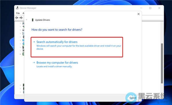 ѡ���Զ�������������