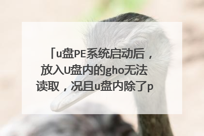 u��PEϵͳ�����󣬷���U���ڵ�gho�޷���ȡ������u���ڳ���peϵͳ�ļ� �������ļ����޷��鿴��