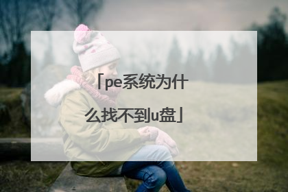 peϵͳΪʲô�Ҳ���u��